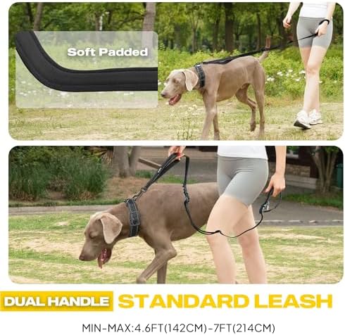 Fida 6-in-1 Hands Free Dog Leash Heavy Duty, Waist Corssbody Dog Leash - Image 4