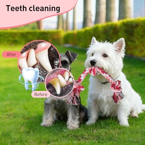 SZEE Dog Rope Toy 2-Pack, Rope Toys for Dogs, Suitable for Small Breeds - Image 3