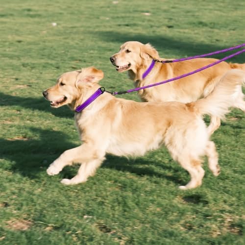Taglory Double Dog Leash Coupler for Two Dogs, 1/3" Lightweight Dual Leash Extension for Small and Medium Dogs, No Tangle 360° Swivel, Reflective Rope, 30 Inch, Purple - Image 7