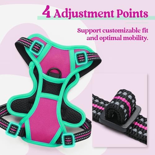 rabbitgoo Dog Harness, No Pull for Small Dogs with 2 Leash Clips, Pet Vest - Image 4