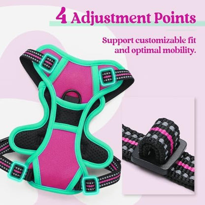 rabbitgoo Dog Harness, No Pull for Small Dogs with 2 Leash Clips, Pet Vest - Image 4