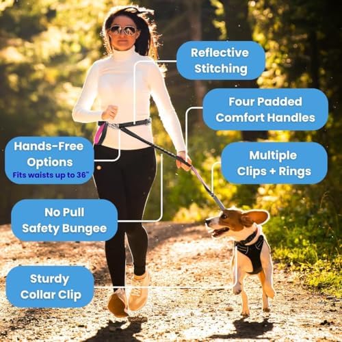 Dog Poop Bag Holder with Dispenser & Storage Pouch - Includes Adjustable Reflective Dog Leash (6FT Bungee, Padded Handles) - Durable Leash for Walking, Training & Travel (Aqua) - Image 2