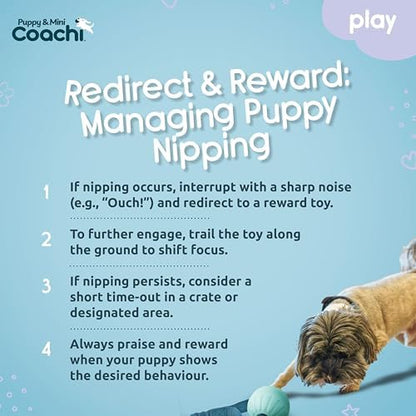 Coachi Puppy & Mini Tuggi Ball - Dog Toy for Tug of War & Play - Image 5