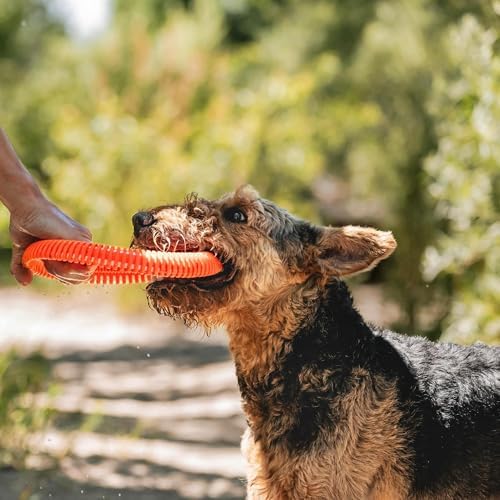Chuckit! Rugged Flyer Dog Toy, Medium, Assorted Colors - Image 7