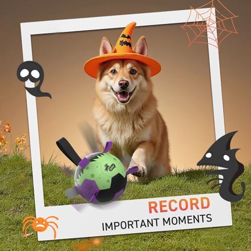 QDAN Halloween Dog Toys, Dog Soccer Balls with Straps, Outdoor Dog Toys - Image 5