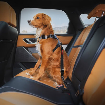 EzyDog Click ISOFIX Standard - Dog Seat Belt Car Restraint - 17in - 26in - Image 2