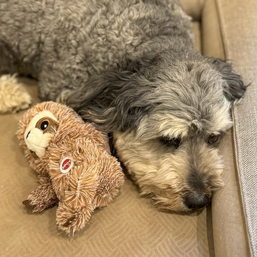 SPOT Fun Sloth Dog Toy - Soft, Stuffed, Squeaky, Plush Fabric Toy for Mini and Small Dogs and Puppies, Enrichment for Light Chewers and Cuddlers, 7in - Image 6