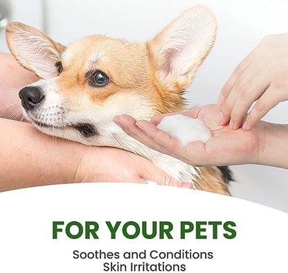 Dog Shampoo – Cleansing Wash, Conditioning, Moisturizing – Healthy Ingredients – Aromatic Grooming Puppy Shampoo – Tearless Cleaner, Rosemary Tea Tree - Image 5