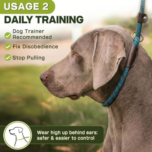 Fida Durable Slip Lead Dog Leash, 6 FT x 3/8" Dog Training Leash, Blue - Image 5