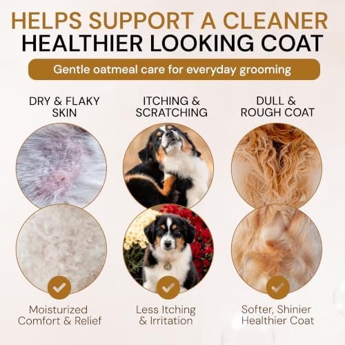 All Natural Anti Itch Oatmeal Shampoo + Conditioner for Dogs | Hypoallergenic Soothing Relief for Dry, Itchy, Bitten or Allergy Damaged Skin (Pack of 2) - Image 5