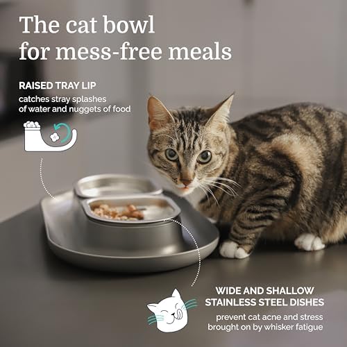 Hepper NomNom - Spill Proof Elevated Cat Bowls - Stainless Steel - Gray - Image 2