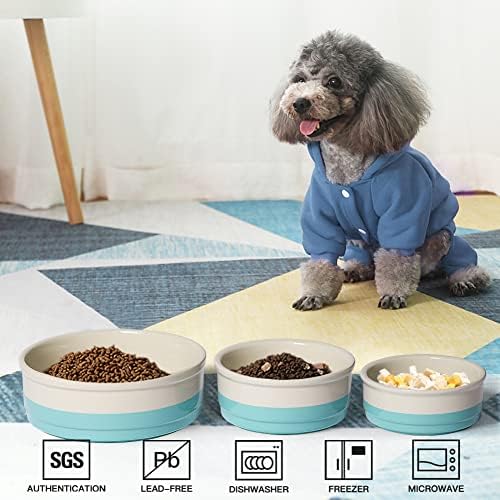 Sweejar Ceramic Dog Bowls, Dog Food Dish for Small Dogs and Cat, Heavy Duty Porcelain Pet Bowl for Canned Food and Water 17 Fl Oz （Turquoise） - Image 2