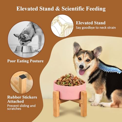 Ceramic Elevated Dog Bowl with Bamboo Stand, for Small & Medium Dog, Yellow - Image 3