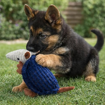 Hollypet Armadillo Squeaky Puppy Dog Toys for Small Medium Dogs, 8" - Image 7