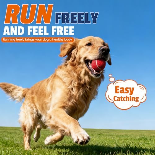 FURWEY Colorful Tennis Balls for Dogs, 2.5 inches, 32 Pack, Non Squeaky - Image 5