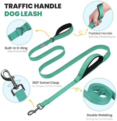 VIVAGLORY Double Handle Dog Leash Twingrip, 5ft x 1in, M, Turquoise - Image 3
