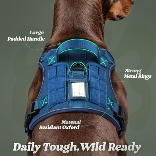 rabbitgoo Tactical Dog Harness for Large Dogs, No Pull Service Pet Vest - Image 6