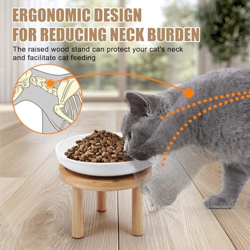 Shallow Elevated Cat Bowls with Bamboo Stand, 5.9 Inch Wide Ceramic Cat Dish Whisker Friendly, 2 Pack Pet Food and Water Plates - Image 4