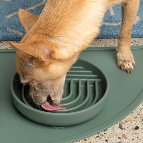 Slow Feeder Dog Bowl - Silicone Dog Bowl, Small, 6" x 1.25" - Spruce - Image 6
