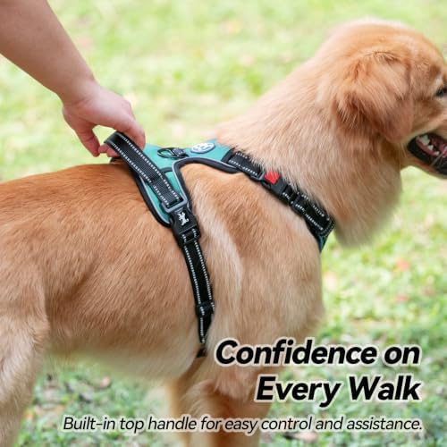 PoyPet No Pull Dog Harness Small with Front Clip & Neck Release Buckle - Image 6