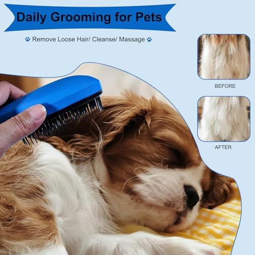 3 PCS Puppy Brush Grooming Kit (Blue) - Image 6