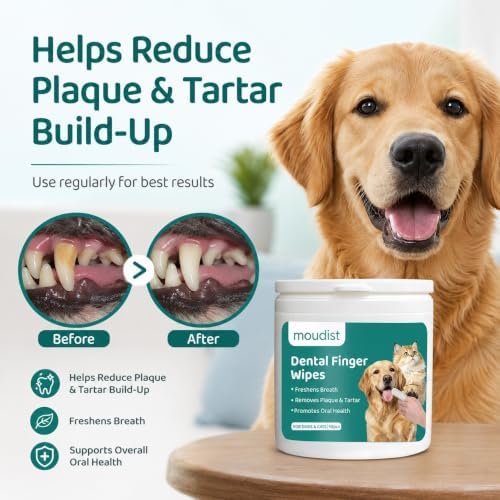 Dental Finger Wipes for Dogs & Cats, 50 Count, Pet Teeth Cleaning Wipes, Helps Remove Plaque & Tartar, Freshens Breath, Daily Oral Care, No-Rinse Tooth Cleaning - Image 5