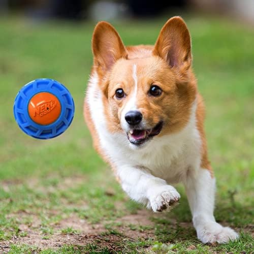 3in TPR EXO Squeak Ball - Blue/Orange - Image 2
