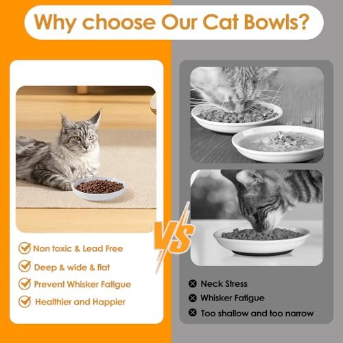 6PCS Ceramic Cat Dish, Shallow and Wide Plate Relief Whisker Fatigue, Dishes for Food and Water, Whisker-Friendly Design, 5.9W x 1.18D Inch, for Indoor Cats and Small Dogs, Multi Color - Image 4