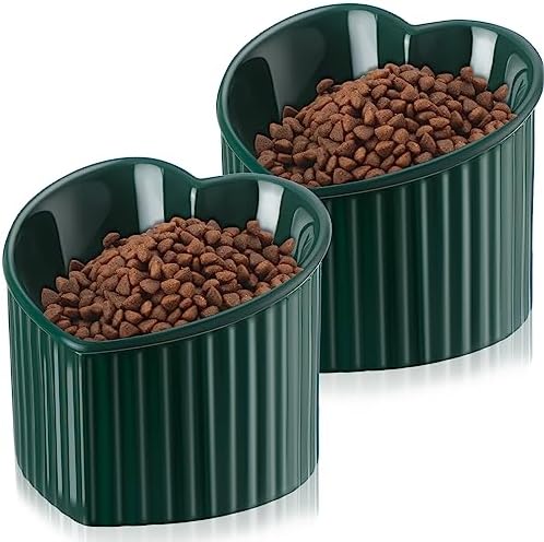 Mumufy 2 Pcs Ceramic Elevated Cat Bowls Tilted Elevated Raised Pet Bowls Anti Vomit Cat Dish for Indoor Stress Free Water Dish Feeder for Puppies, Heart Shaped(Peacock Green) by Mumufy