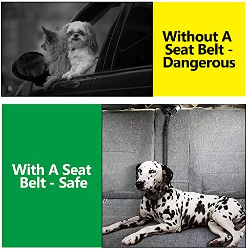 Plutus Pet Dog Seat Belt for Car Headrest, Reflective with Elastic Bungee - Image 3