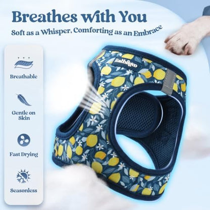 rabbitgoo Dog Harness Small Sized and Leash Set, Step-in Puppy Pet Vest - Image 4
