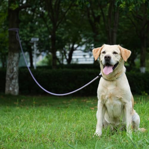Long Dog Leash, 10ft 30ft 50 feet Heavy Duty Dog Training Leash, Aviation Aluminum Auto Locking Carabiner, Nylon Rope Long Line Check Cord Recall Lead for Yard,Playing,Camping,Orange,30FT - Image 6