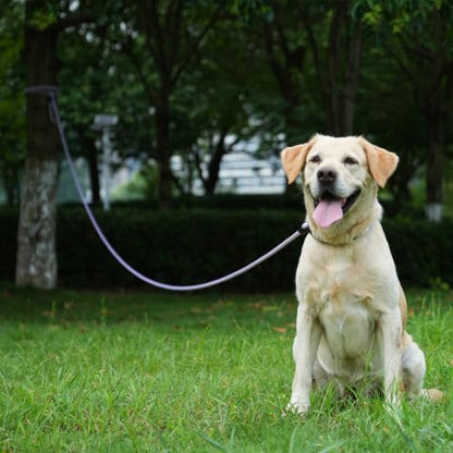 Long Dog Leash, 10ft 30ft 50 feet Heavy Duty Dog Training Leash, Aviation Aluminum Auto Locking Carabiner, Nylon Rope Long Line Check Cord Recall Lead for Yard,Playing,Camping,Red,10FT - Image 6