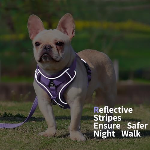 Dog Harness Medium Sized Dog Pet Vest with Leash Set Lilac L - Image 5