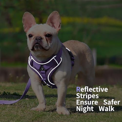 Dog Harness Medium Sized Dog Pet Vest with Leash Set Lilac L - Image 5