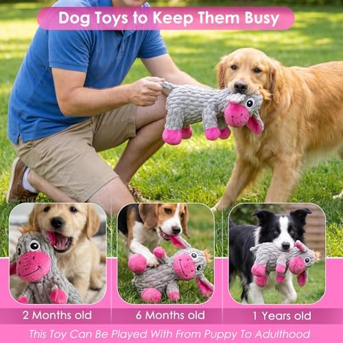 Squeaky Plush Dog Toy with Crinkle Ears for Small and Medium Dogs - Image 7