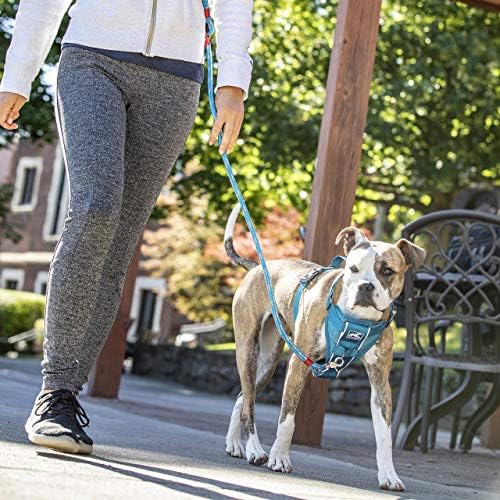 Kurgo Tru-Fit Smart Harness, Blue, Extra Small - Image 3