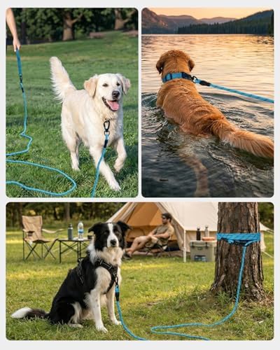 Joytale Long Dog Leash for Yard Tie Out & Recall Training, Blue, 15FT - Image 6