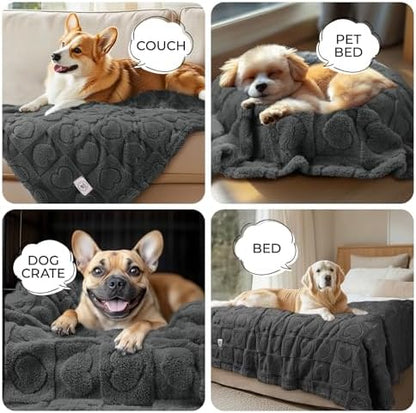 Luciphia Small Dog Blanket Washable Pet Bed Cover Soft Fluffy Puppy Blanket with Premium Fleece 300GSM Cozy Calming Cat Blankets for Indoor Cats Grey 30x20 inch - Image 3