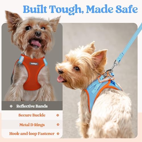 rabbitgoo Dog Harness Medium Sized and Leash Set, Step-in Puppy Pet Vest - Image 5