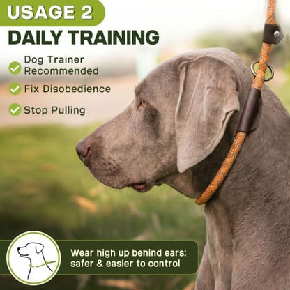 Fida Durable Slip Lead Dog Leash, 6 FT x 3/8" Dog Training Leash, Orange - Image 5