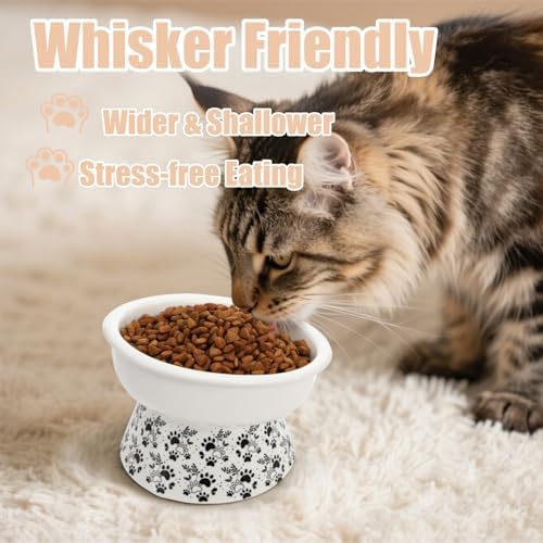 2 Pack Ceramic Elevated Cat Bowls, 6" Extra Wide Tilted Raised Pet Dish, Whisker Friendly Food and Water Bowl for Small Dogs, Anti Vomiting & Protect Pet's Spine, Microwave Dishwasher Safe - Image 5