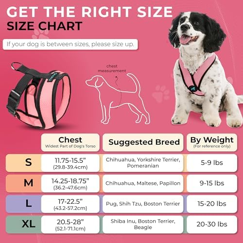 Gooby Comfort X Head-in Dog Harness, Choke-Free, Pink, Small - Image 4