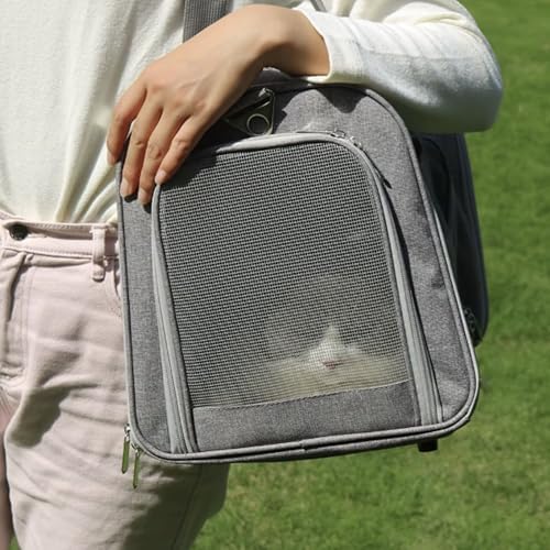 Movelo, Pet Carrier with Two Entrances – Top & Side Opening Soft-Sided Travel Carrier for Cats & Small Dogs up to 25 lbs – Airline Approved, Mesh Ventilation, Removable Pad & Shoulder Strap - Image 3