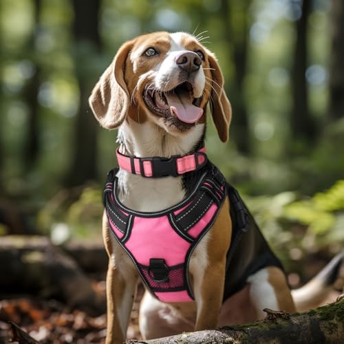 Joytale Reflective Dog Collar, Adjustable Neoprene Padded, Neon Pink XL - Image 2