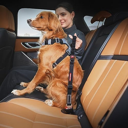 EzyDog Zero Shock Click - Bungee Dog Seat Belt Car Restraint - 20in - 26in - Image 3