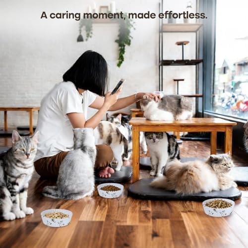 Cat Bowl Set (300 Disposable Pet Bowl Liners with 2 Stainless Steel Bowls) - Image 6
