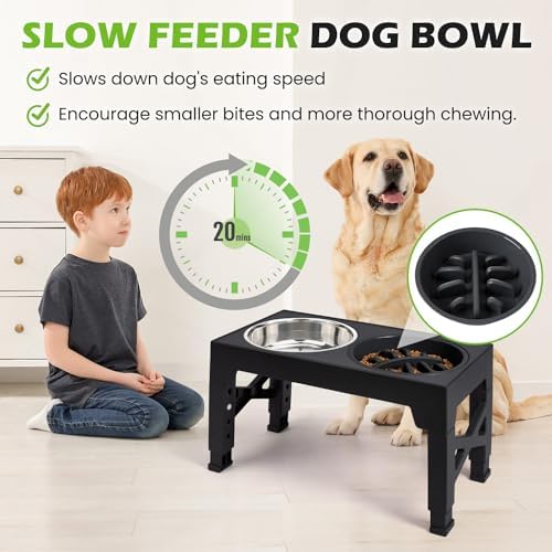 Elevated Dog Bowls with 5 Adjustable Heights Stand - Image 3
