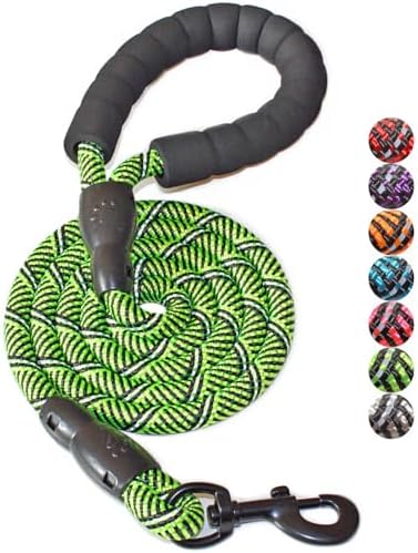 BAAPET 2/4/5/6 FT Dog Leash with Comfortable Padded Handle and Highly Reflective Threads for Small Medium and Large Dogs (5FT-1/2'', Black Green) by BAAPET