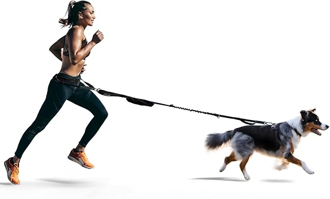 FITLY Dog Running Waist Belt - Running Dog Lead - Canicross Harness Carry Personal Items Running, Walks, Hikes - Waist Leads for Dogs with Belt Pouch, Converts into Canicrossing Line - Emerald Blue